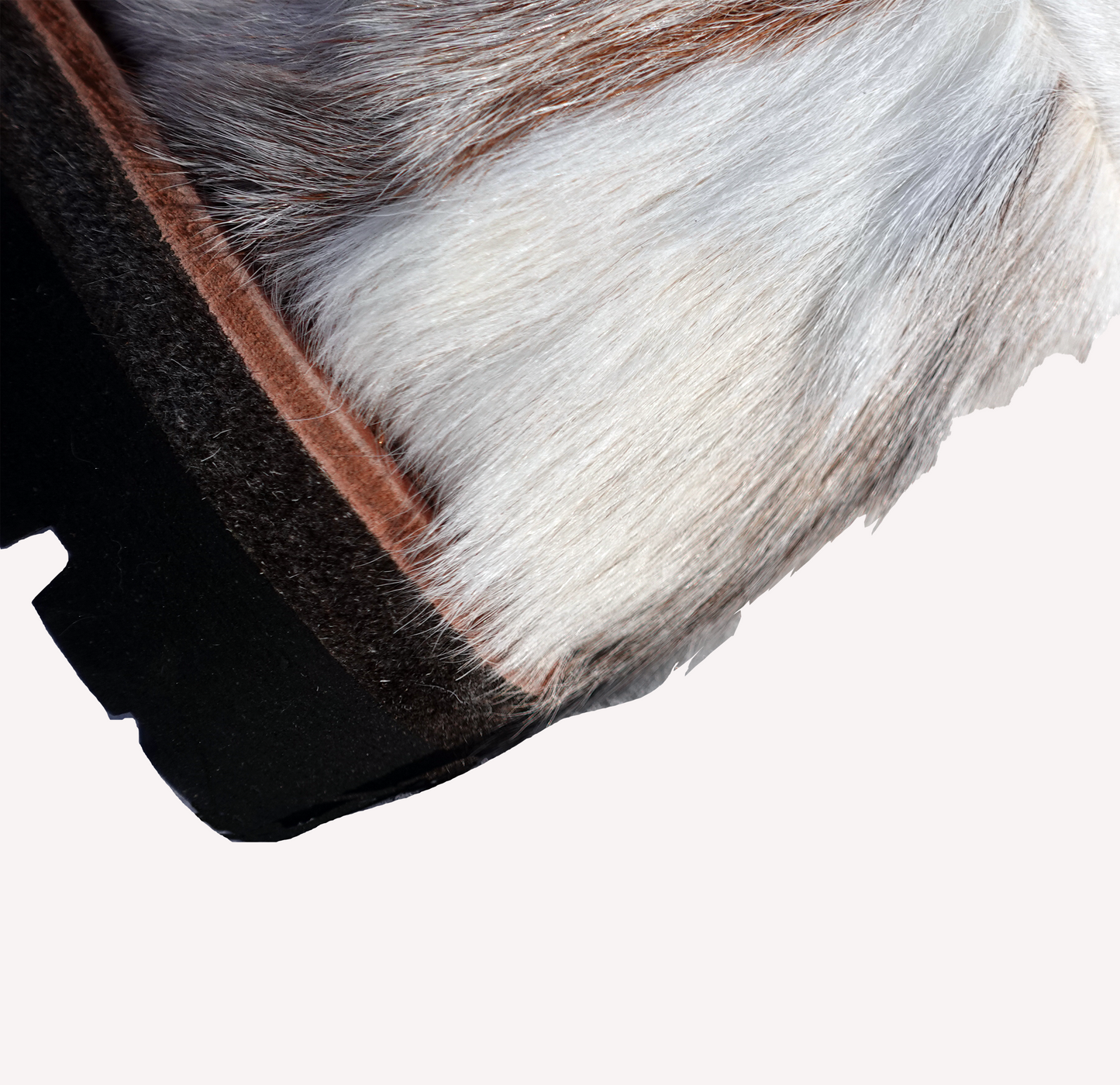The Taiga Ivory