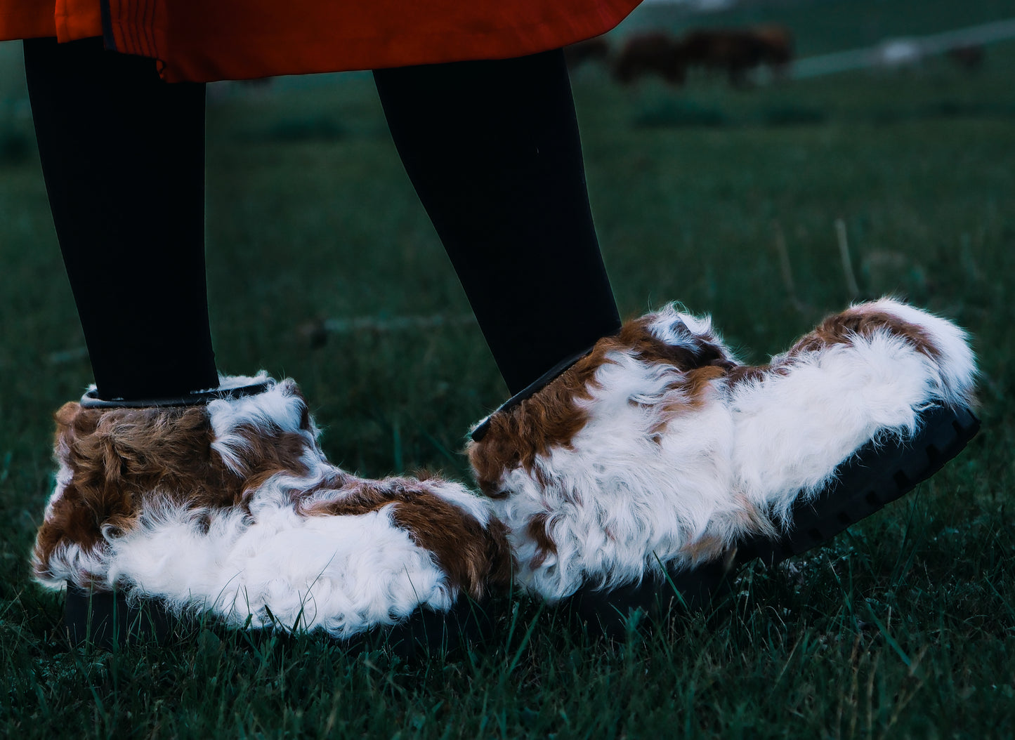 MOGSki TUNDRA CURLY SHEARLING CLOSED CLOG